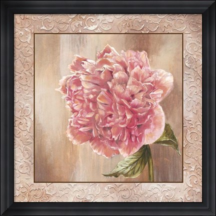 Framed Pivoines II - Cs Print