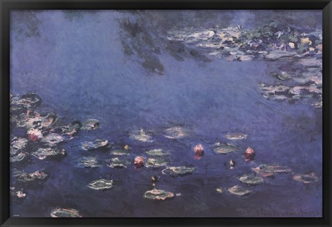 Framed Waterlillies Print