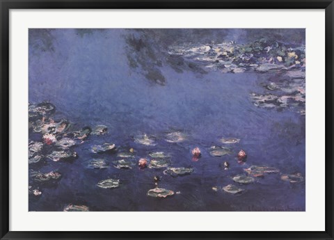 Framed Waterlillies Print