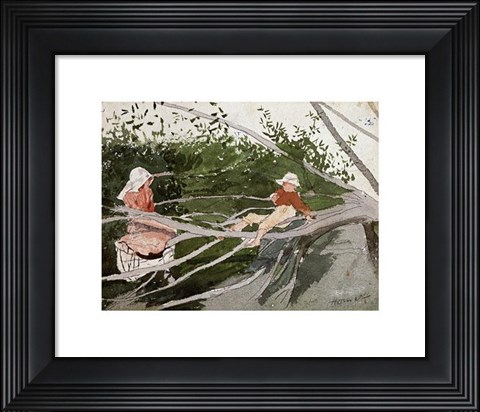 Framed Out On A Limb Print