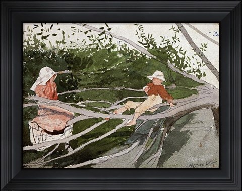 Framed Out On A Limb Print