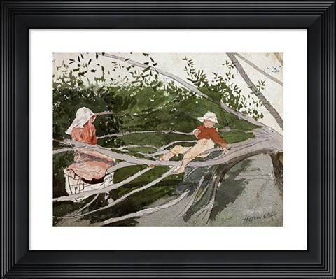 Framed Out On A Limb Print