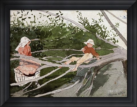 Framed Out On A Limb Print