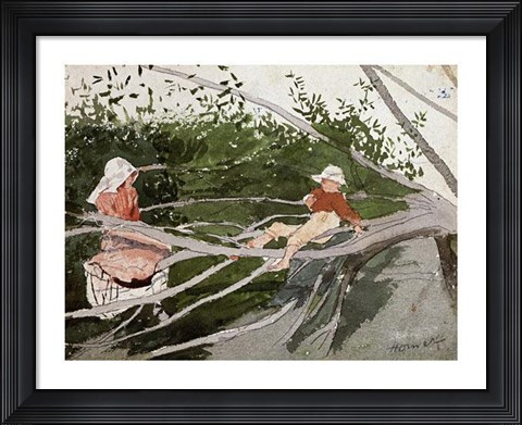 Framed Out On A Limb Print