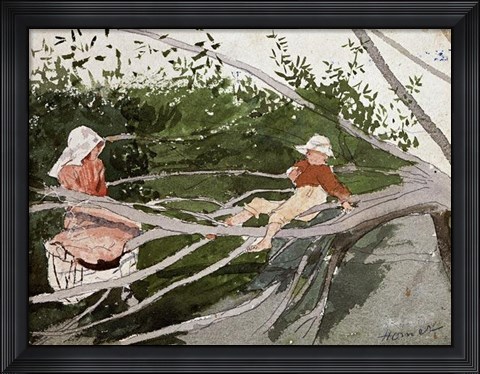 Framed Out On A Limb Print