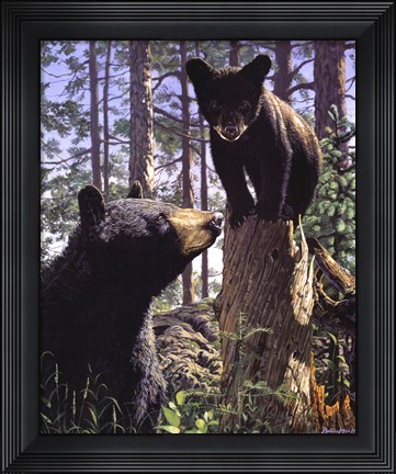 Framed Stump Jumper Print