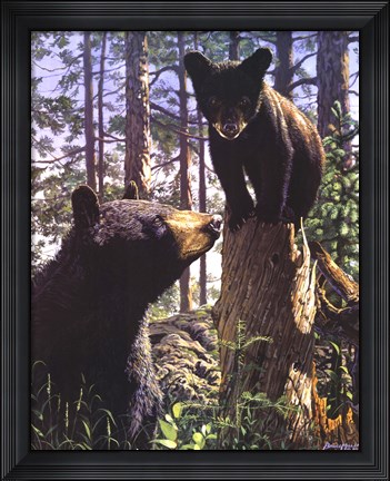 Framed Stump Jumper Print