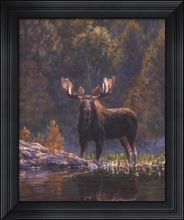 Framed North Country Moose detail Print