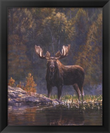 Framed North Country Moose detail Print