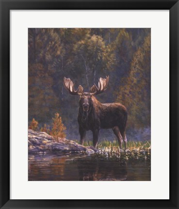 Framed North Country Moose detail Print