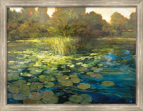 Framed Waterlilies Print