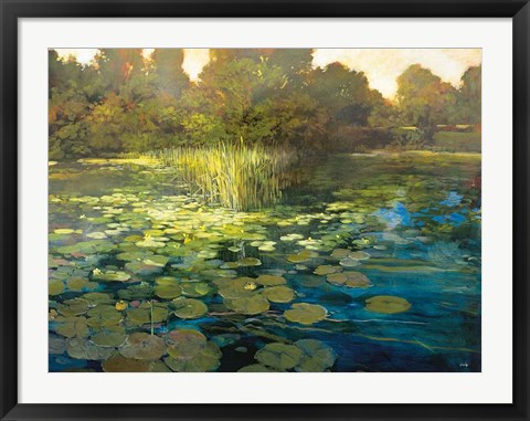 Framed Waterlilies Print