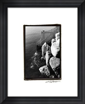 Framed Fenced In Print