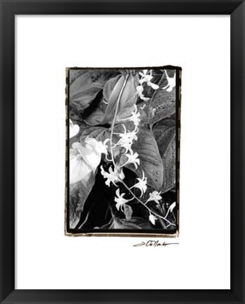 Framed Floral Elegance I Print