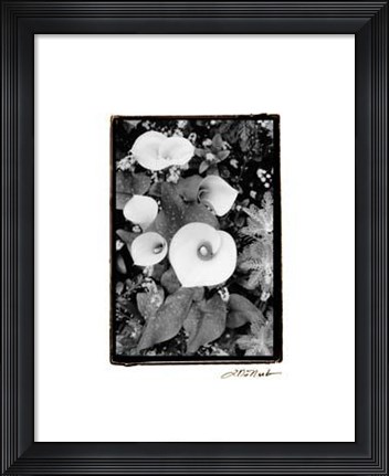 Framed Floral Elegance II Print