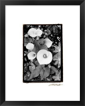 Framed Floral Elegance II Print