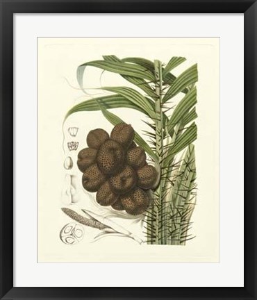 Framed Island Fruits I Print