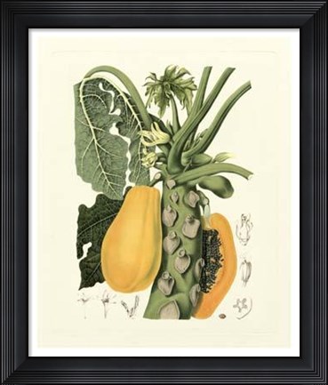 Framed Island Fruits IV Print