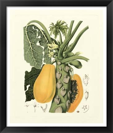 Framed Island Fruits IV Print