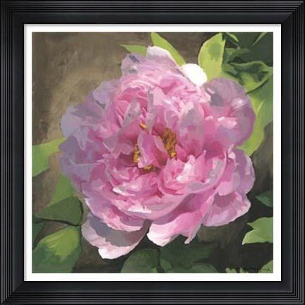 Framed Peony In Pink I Print