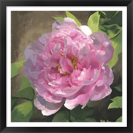 Framed Peony In Pink I Print