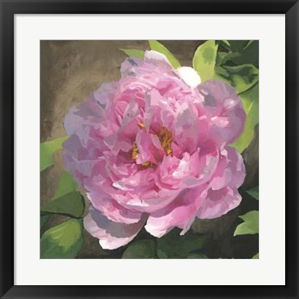 Framed Peony In Pink I Print