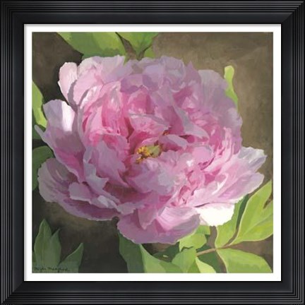 Framed Peony In Pink II Print