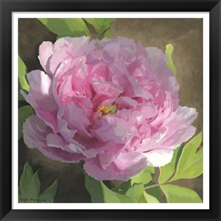 Framed Peony In Pink II Print