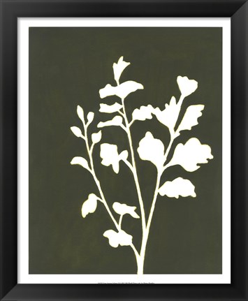 Framed Four Seasons Foliage II Print