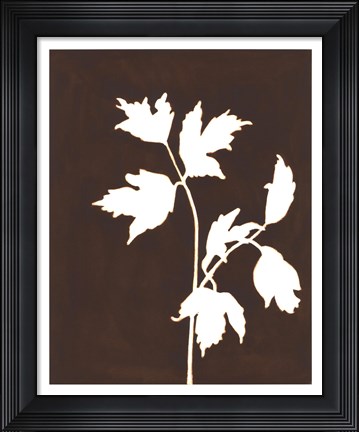 Framed Four Seasons Foliage IV Print