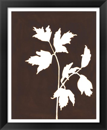 Framed Four Seasons Foliage IV Print
