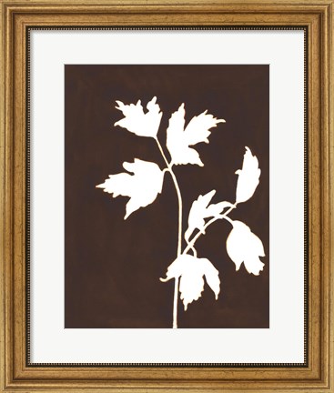 Framed Four Seasons Foliage IV Print