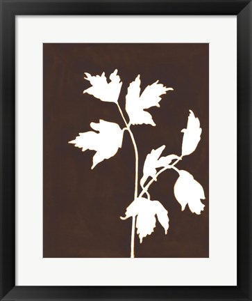 Framed Four Seasons Foliage IV Print