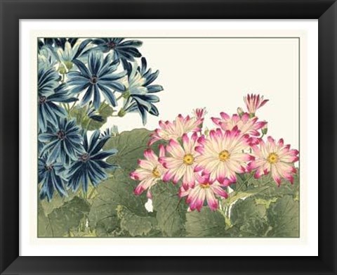 Framed Japanese Flower Garden IV Print