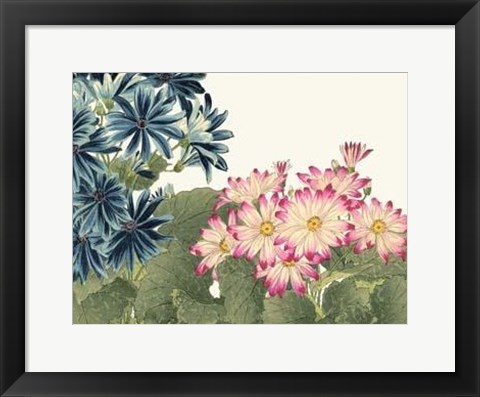 Framed Japanese Flower Garden IV Print