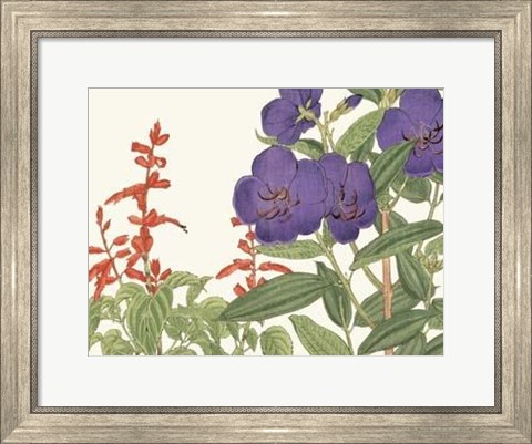Framed Japanese Flower Garden VI Print