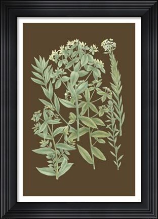 Framed Organic Greenery I Print