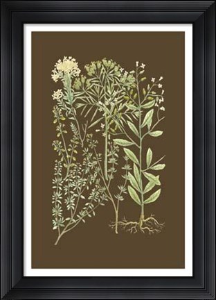 Framed Organic Greenery III Print