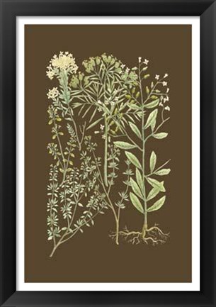 Framed Organic Greenery III Print