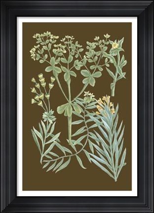 Framed Organic Greenery IV Print