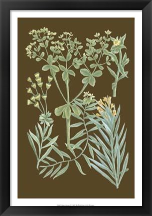 Framed Organic Greenery IV Print