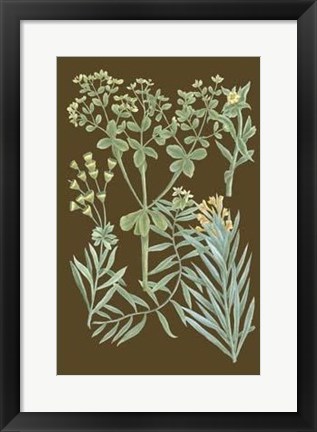 Framed Organic Greenery IV Print