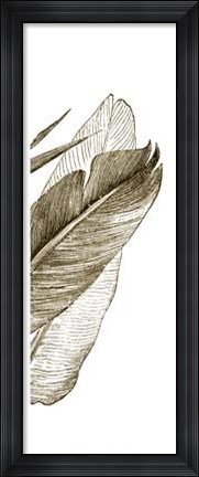 Framed Bird Of Paradise Triptych III Print