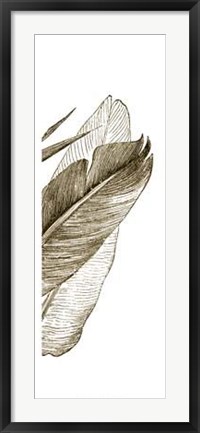 Framed Bird Of Paradise Triptych III Print