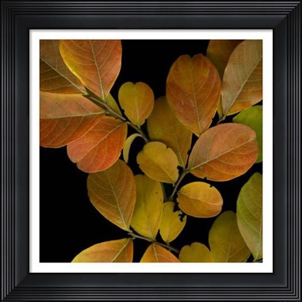 Framed Vivid Leaves I Print
