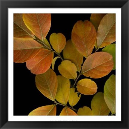 Framed Vivid Leaves I Print