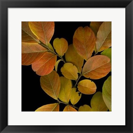 Framed Vivid Leaves I Print