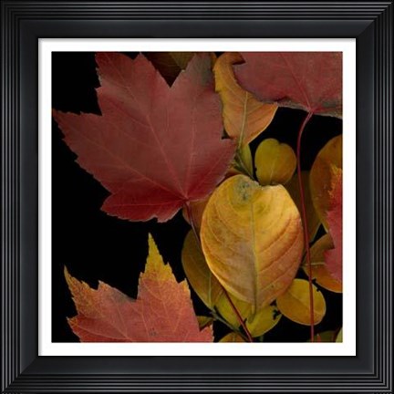 Framed Vivid Leaves IV Print