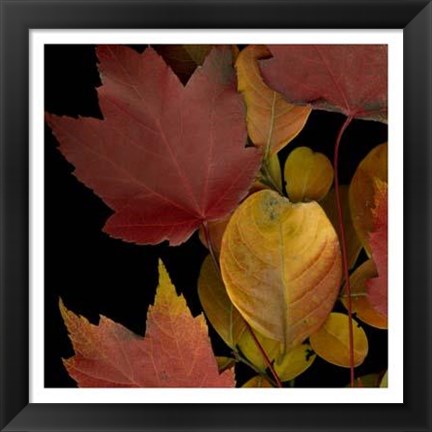 Framed Vivid Leaves IV Print