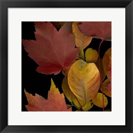 Framed Vivid Leaves IV Print